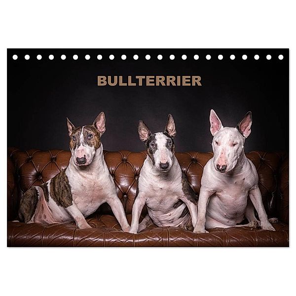 Bullterrier (Tischkalender 2025 DIN A5 quer), CALVENDO Monatskalender, Calvendo, Sven Schubert