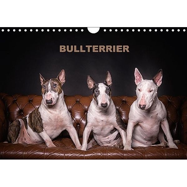 Bullterrier (Wandkalender 2017 DIN A4 quer), Sven Schubert
