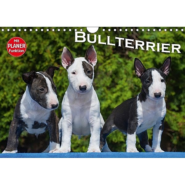 Bullterrier (Wandkalender 2018 DIN A4 quer) Dieser erfolgreiche Kalender wurde dieses Jahr mit gleichen Bildern und aktu, Bullterrier