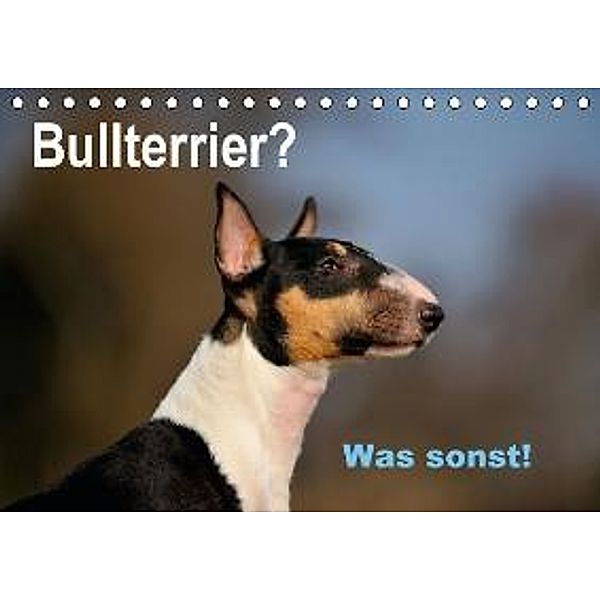 Bullterrier? Was sonst! (Tischkalender 2016 DIN A5 quer), Yvonne Janetzek