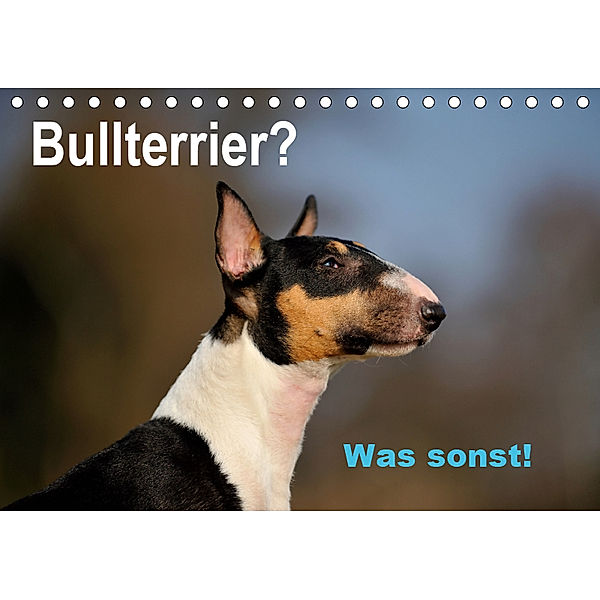 Bullterrier? Was sonst! (Tischkalender 2019 DIN A5 quer), Yvonne Janetzek