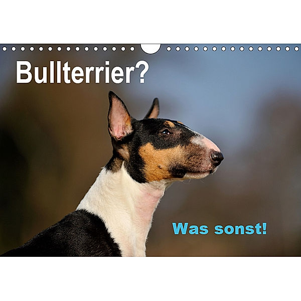 Bullterrier? Was sonst! (Wandkalender 2019 DIN A4 quer), Yvonne Janetzek