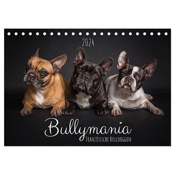 Bullymania - Französische Bulldoggen (Tischkalender 2024 DIN A5 quer), CALVENDO Monatskalender, Silke Gareis (SCHNAPP-Schuss)