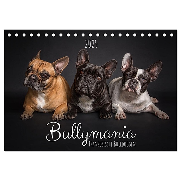 Bullymania - Französische Bulldoggen (Tischkalender 2025 DIN A5 quer), CALVENDO Monatskalender, Calvendo, Silke Gareis (SCHNAPP-Schuss)