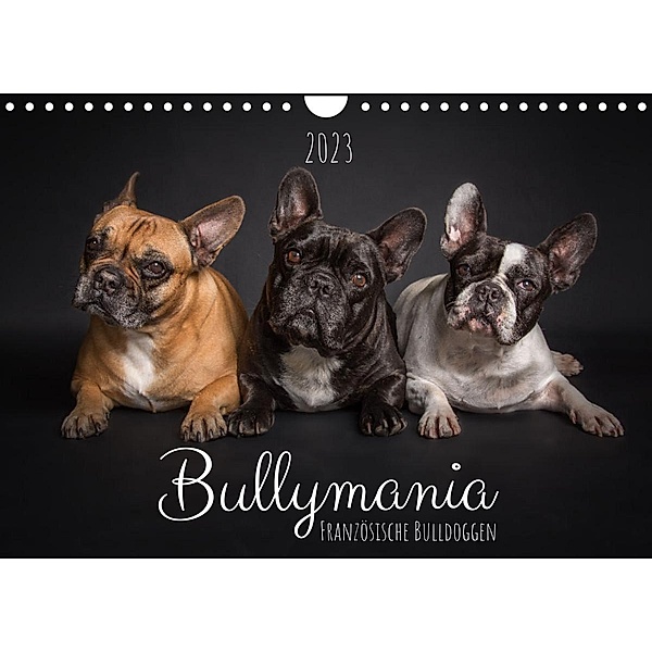Bullymania - Französische Bulldoggen (Wandkalender 2023 DIN A4 quer), Silke Gareis (SCHNAPP-Schuss)