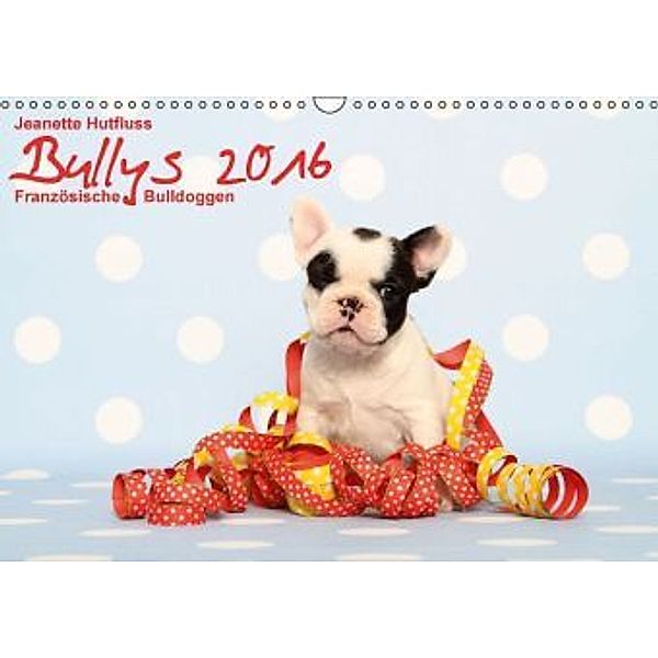 Bullys - Französische Bulldoggen 2016 (Wandkalender 2016 DIN A3 quer), Jeanette Hutfluss