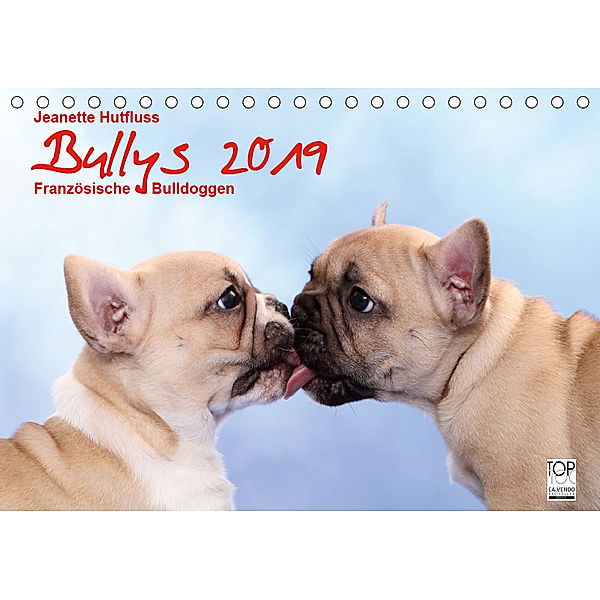 Bullys - Französische Bulldoggen 2019 (Tischkalender 2019 DIN A5 quer), Jeanette Hutfluss