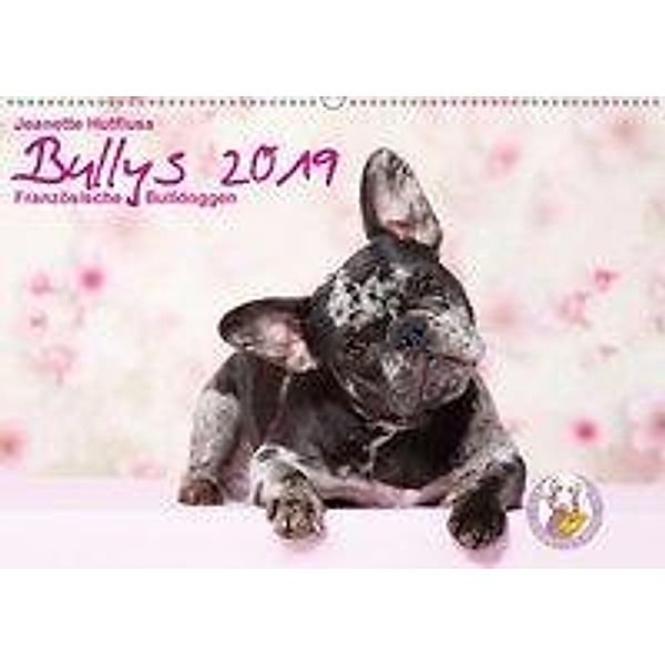 Bullys - Französische Bulldoggen 2019 (Wandkalender 2019 DIN A2 quer), Jeanette Hutfluss