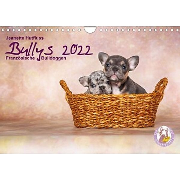 Bullys - Französische Bulldoggen 2022 (Wandkalender 2022 DIN A4 quer), Jeanette Hutfluss