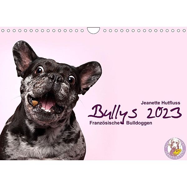 Bullys - Französische Bulldoggen 2023 (Wandkalender 2023 DIN A4 quer), Jeanette Hutfluss