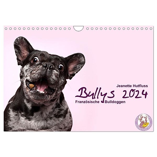 Bullys - Französische Bulldoggen 2024 (Wandkalender 2024 DIN A4 quer), CALVENDO Monatskalender, Jeanette Hutfluss