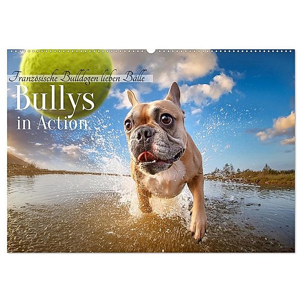 Bullys in Action - Französische Bulldoggen lieben Bälle (Wandkalender 2025 DIN A2 quer), CALVENDO Monatskalender, Calvendo, Fotodesign Verena Scholze