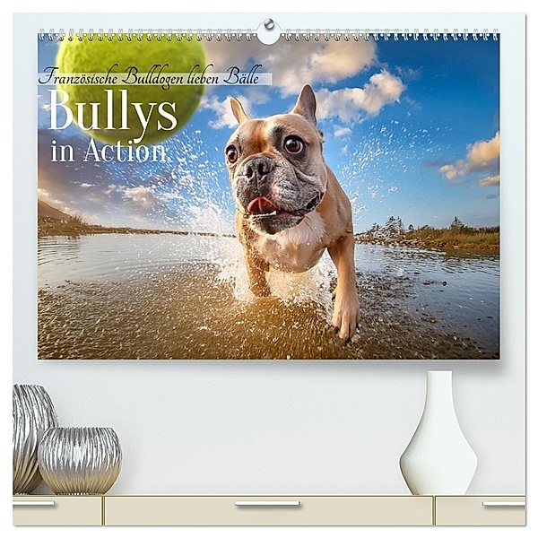 Bullys in Action - Französische Bulldoggen lieben Bälle (hochwertiger Premium Wandkalender 2025 DIN A2 quer), Kunstdruck in Hochglanz, Calvendo, Fotodesign Verena Scholze