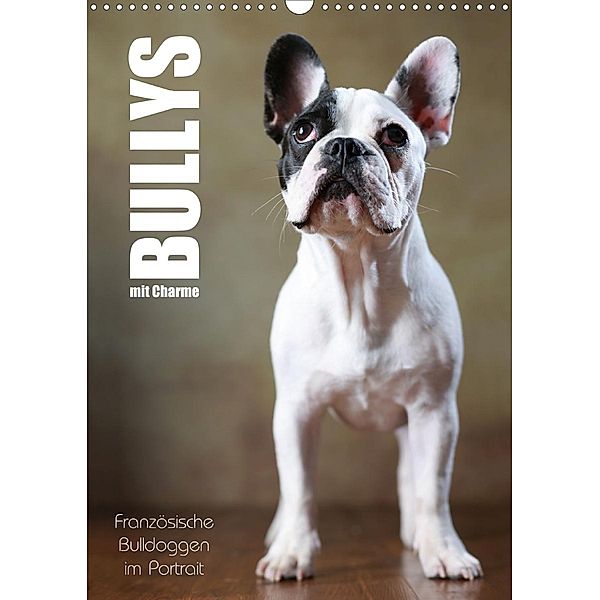 Bullys mit Charme - Französische Bulldoggen im Portrait (Wandkalender 2021 DIN A3 hoch), Jana Behr