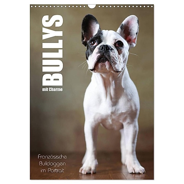 Bullys mit Charme - Französische Bulldoggen im Portrait (Wandkalender 2024 DIN A3 hoch), CALVENDO Monatskalender, Jana Behr