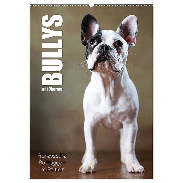 Bullys mit Charme - Französische Bulldoggen im Portrait (Wandkalender 2024 DIN A2 hoch), CALVENDO Monatskalender, Jana Behr