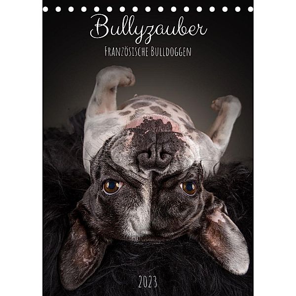 Bullyzauber - Französische Bulldoggen (Tischkalender 2023 DIN A5 hoch), Silke Gareis (SCHNAPP-Schuss)