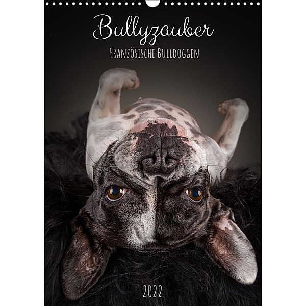 Bullyzauber - Französische Bulldoggen (Wandkalender 2022 DIN A3 hoch), Silke Gareis (SCHNAPP-Schuss)