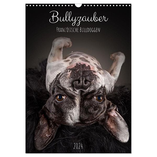 Bullyzauber - Französische Bulldoggen (Wandkalender 2024 DIN A3 hoch), CALVENDO Monatskalender, Silke Gareis (SCHNAPP-Schuss)