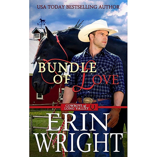Bundle of Love: An Office Contemporary Western Romance (Cowboys of Long Valley Romance, #7) / Cowboys of Long Valley Romance, Erin Wright