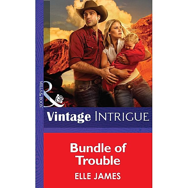 Bundle Of Trouble (Mills & Boon Intrigue) / Mills & Boon Intrigue, Elle James