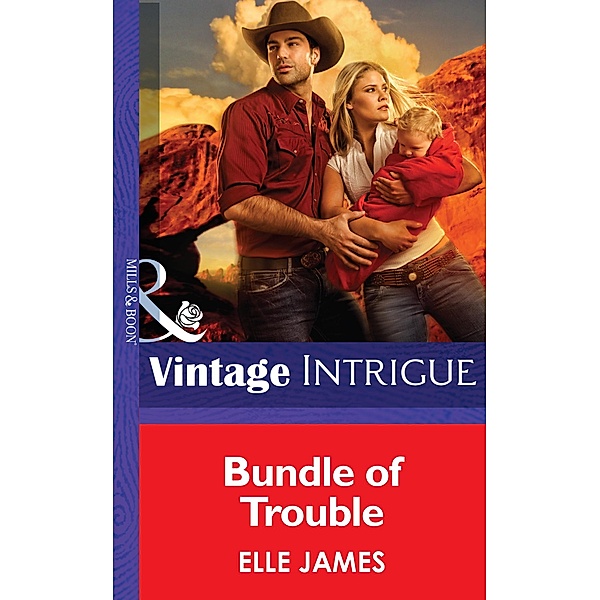 Bundle Of Trouble (Mills & Boon Intrigue) / Mills & Boon Intrigue, Elle James
