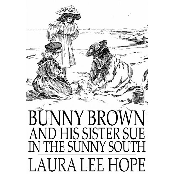 Bunny Brown and His Sister Sue in the Sunny South / The Floating Press, Laura Lee Hope