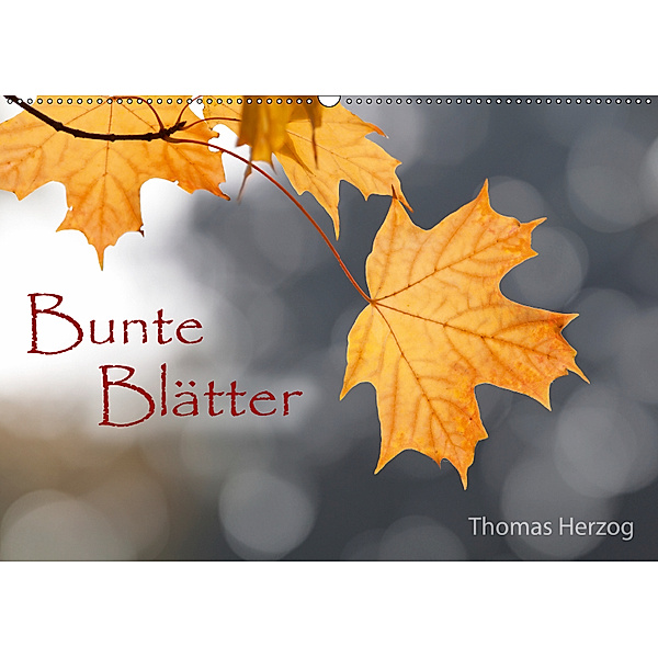 Bunte Blätter (Wandkalender 2019 DIN A2 quer), Thomas Herzog