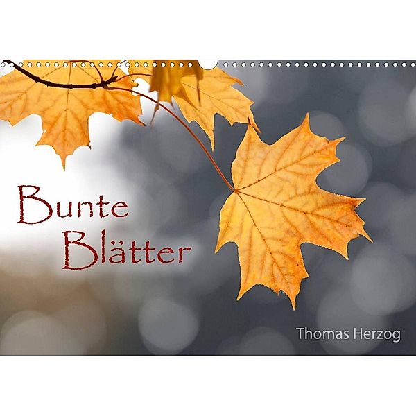 Bunte Blätter (Wandkalender 2023 DIN A3 quer), Thomas Herzog, www.bild-erzaehler.com