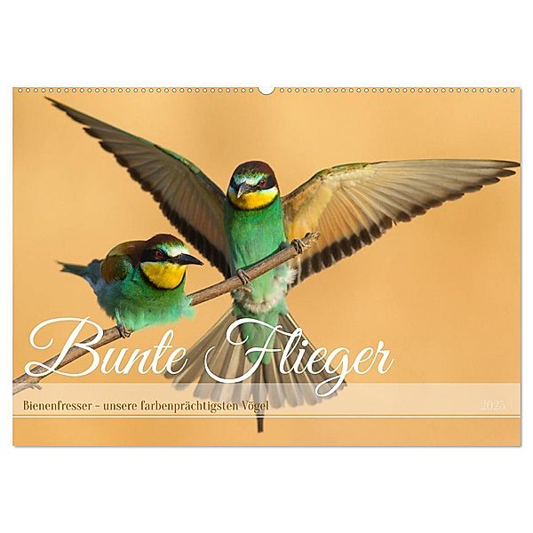 Bunte Flieger (Wandkalender 2025 DIN A2 quer), CALVENDO Monatskalender, Calvendo, Frederic Bauer