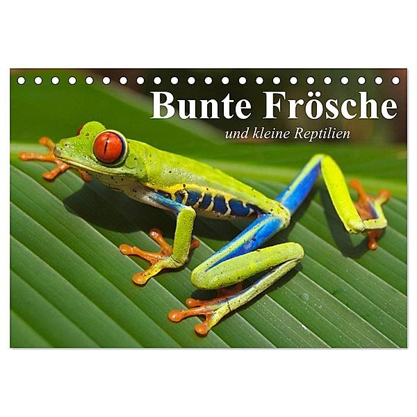 Bunte Frösche und kleine Reptilien (Tischkalender 2024 DIN A5 quer), CALVENDO Monatskalender, Elisabeth Stanzer
