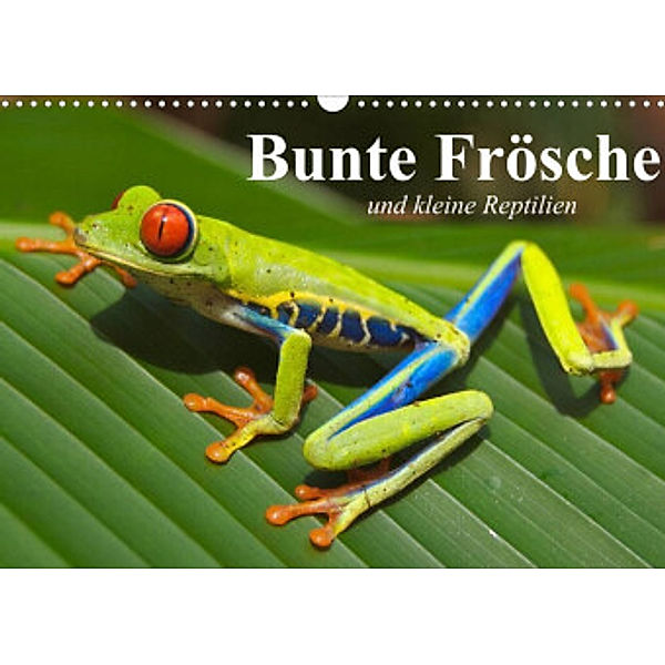 Bunte Frösche und kleine Reptilien (Wandkalender 2022 DIN A3 quer), Elisabeth Stanzer
