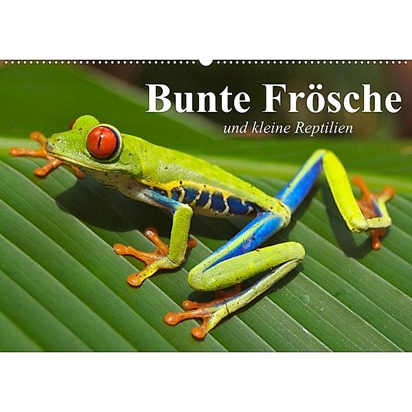 Bunte Frösche und kleine Reptilien (Wandkalender 2023 DIN A2 quer), Elisabeth Stanzer