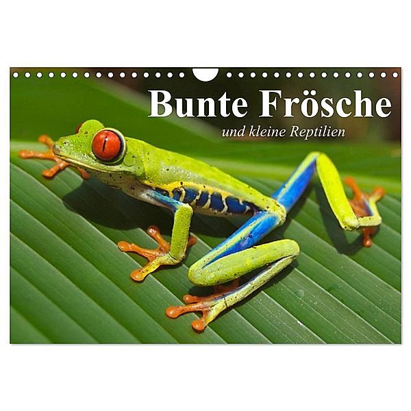 Bunte Frösche und kleine Reptilien (Wandkalender 2024 DIN A4 quer), CALVENDO Monatskalender, Elisabeth Stanzer