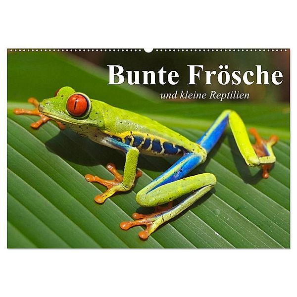 Bunte Frösche und kleine Reptilien (Wandkalender 2024 DIN A2 quer), CALVENDO Monatskalender, Elisabeth Stanzer
