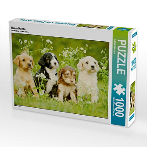 Bunte Hunde (Puzzle), Kathrin Köntopp