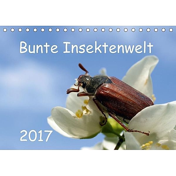 Bunte Insektenwelt (Tischkalender 2017 DIN A5 quer), Dagmar Laimgruber