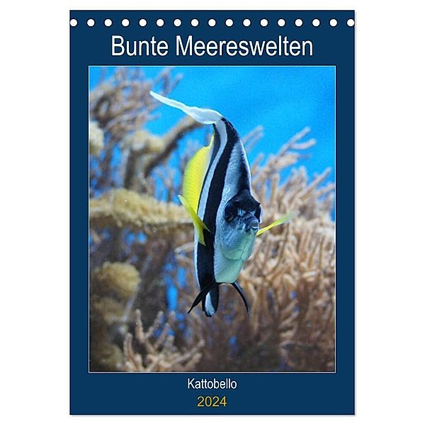 Bunte Meereswelten (Tischkalender 2024 DIN A5 hoch), CALVENDO Monatskalender, Kattobello