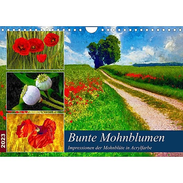 Bunte Mohnblumen - Impressionen der Mohnblüte in Acrylfarbe (Wandkalender 2023 DIN A4 quer), Anja Frost