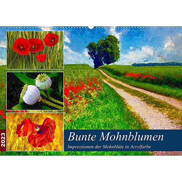 Bunte Mohnblumen - Impressionen der Mohnblüte in Acrylfarbe (Wandkalender 2023 DIN A2 quer), Anja Frost