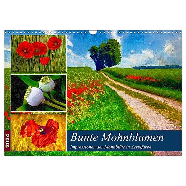 Bunte Mohnblumen - Impressionen der Mohnblüte in Acrylfarbe (Wandkalender 2024 DIN A3 quer), CALVENDO Monatskalender, Anja Frost