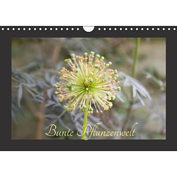 Bunte Pflanzenwelt (Wandkalender 2016 DIN A4 quer), Cordt Rott
