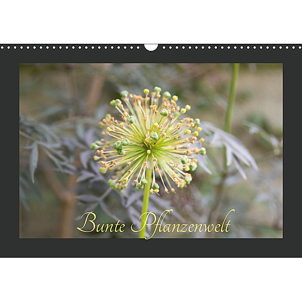 Bunte Pflanzenwelt (Wandkalender 2019 DIN A3 quer), Cordt Rott