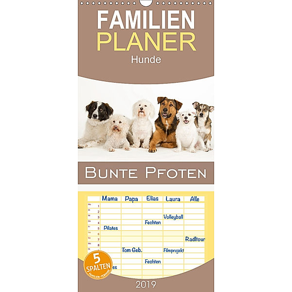 Bunte Pfoten - Familienplaner hoch (Wandkalender 2019 , 21 cm x 45 cm, hoch), Nicole Noack