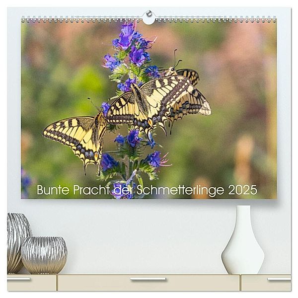 Bunte Pracht der Schmetterlinge (hochwertiger Premium Wandkalender 2025 DIN A2 quer), Kunstdruck in Hochglanz, Calvendo, Dany´s Blickwinkel