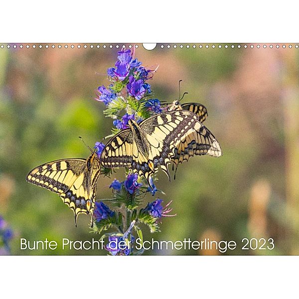 Bunte Pracht der Schmetterlinge (Wandkalender 2023 DIN A3 quer), Dany´s Blickwinkel