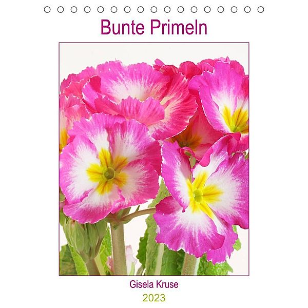 Bunte Primeln (Tischkalender 2023 DIN A5 hoch), Gisela Kruse