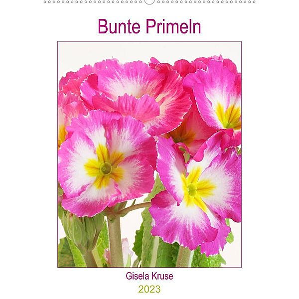 Bunte Primeln (Wandkalender 2023 DIN A2 hoch), Gisela Kruse