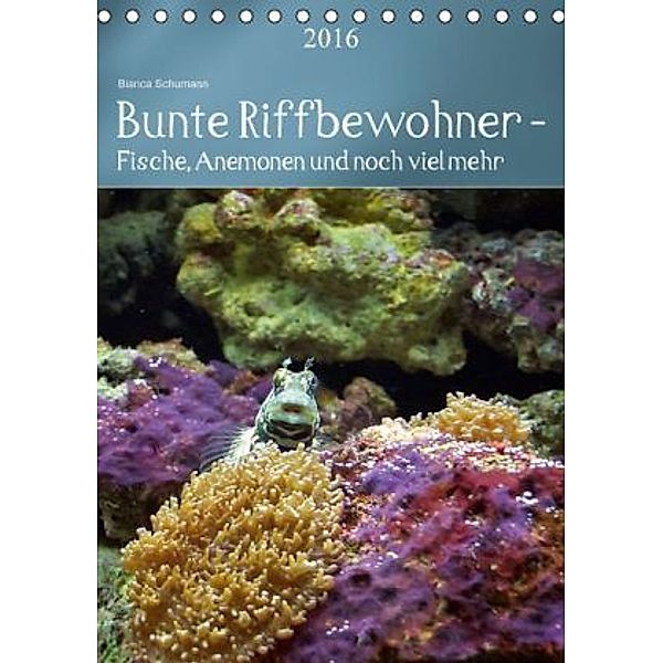 Bunte Riffbewohner - Fische, Anemonen und noch viel mehr (Tischkalender 2016 DIN A5 hoch), Bianca Schumann