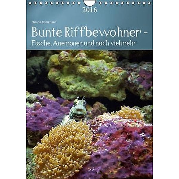 Bunte Riffbewohner - Fische, Anemonen und noch viel mehr (Wandkalender 2016 DIN A4 hoch), Bianca Schumann